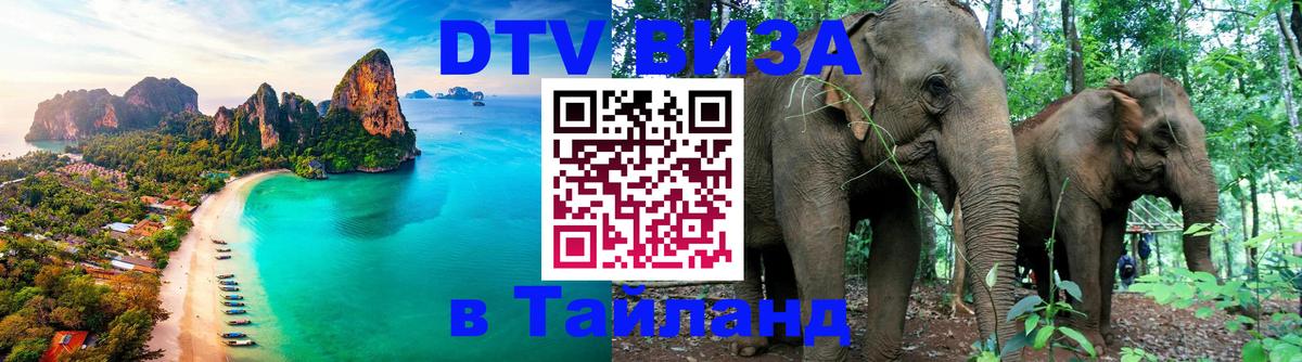 Оформление DTV визы под ключ: стоимость и тарифы, только загранпаспорт - Веллингтон  19.11.2025 